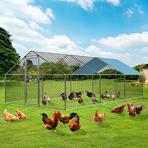 1.25'' Large Metal Chicken Coop with Cover L9136