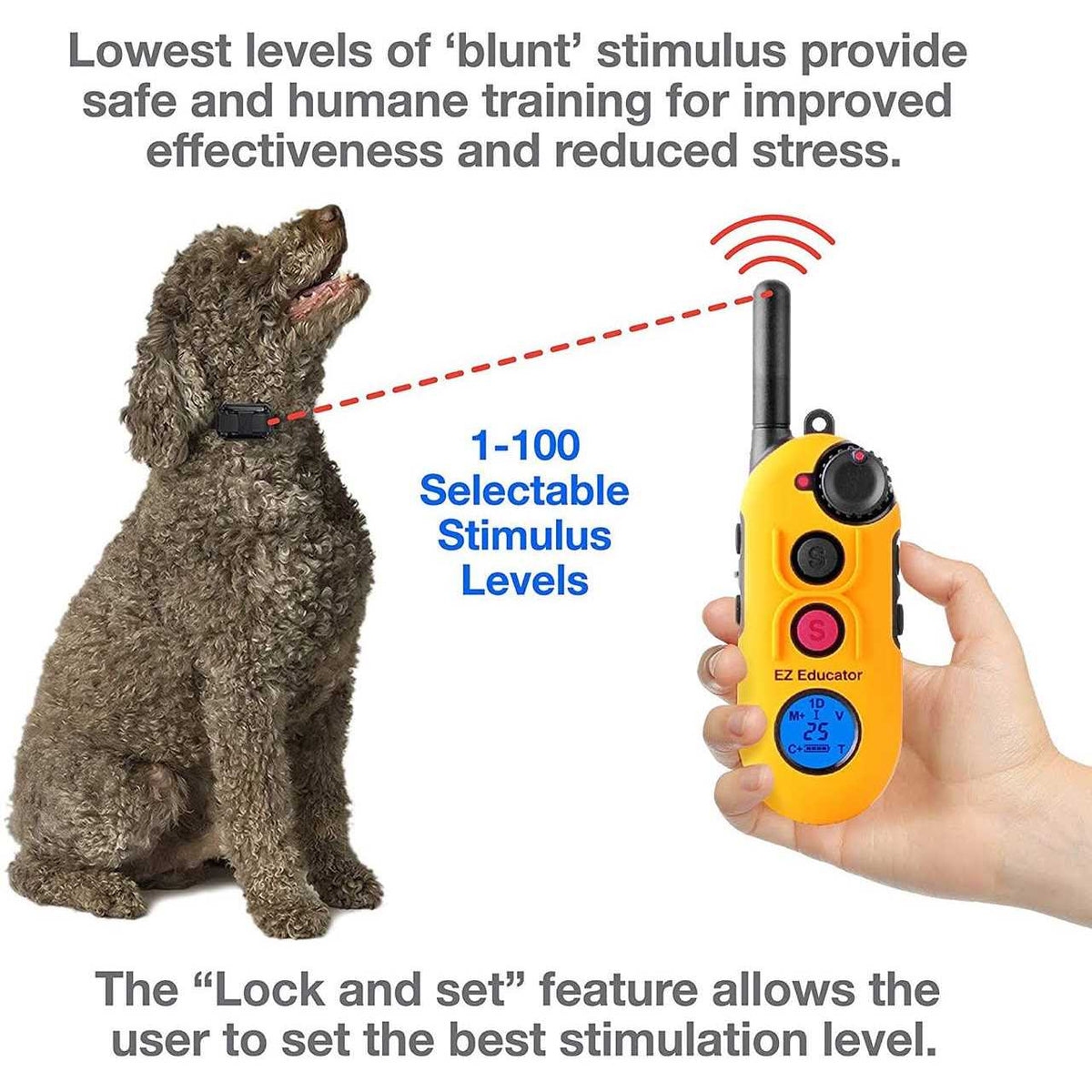 Remote Dog Training Collar with Vibration B2673