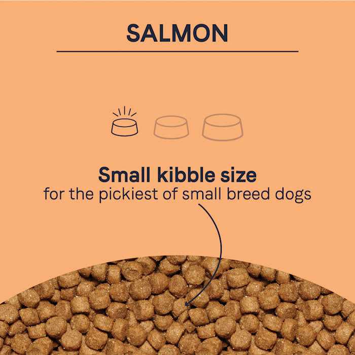 Salmon Dry Dog Food N94579