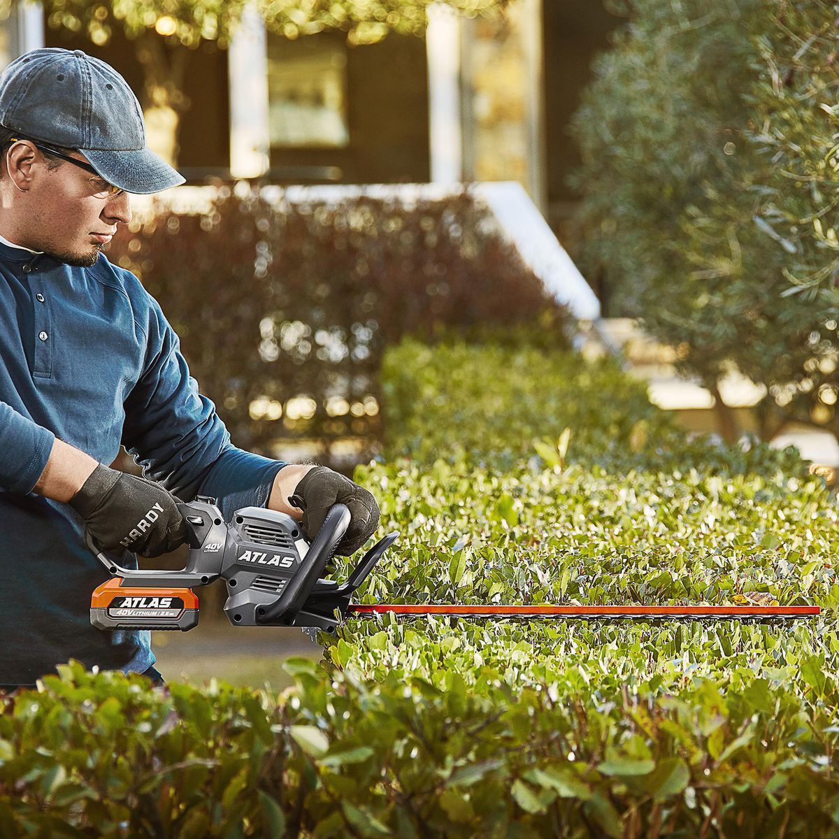 Cordless 24 in. Hedge Trimmer F31262