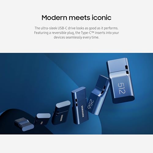 Type-C USB Flash Drive 256GB Blue S268