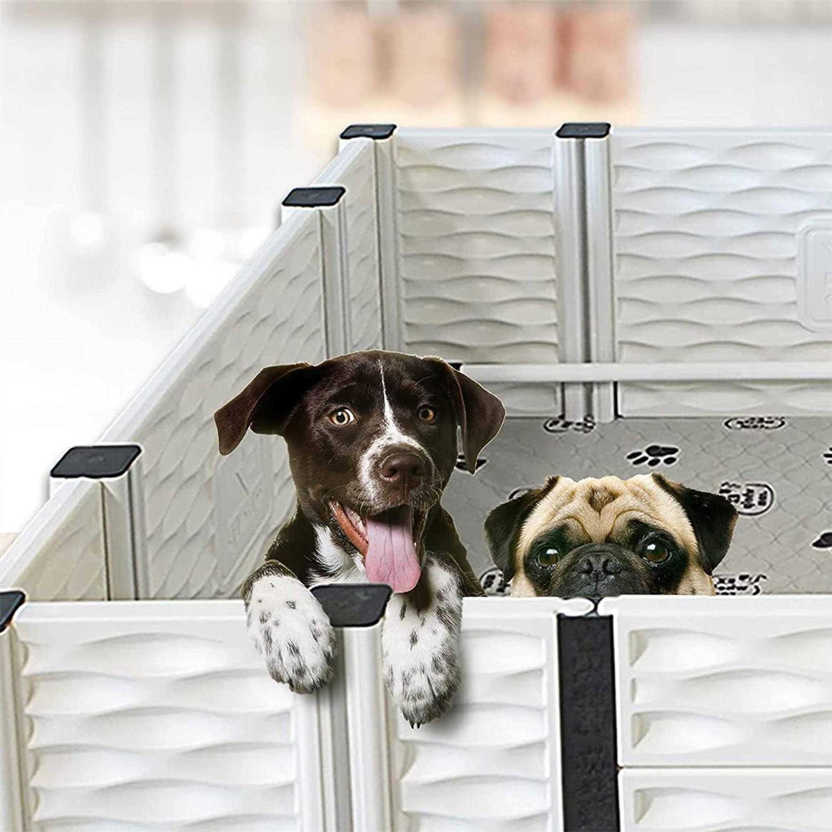 Puppy Dog Whelping Box Playpen with Rails & Liner Z850