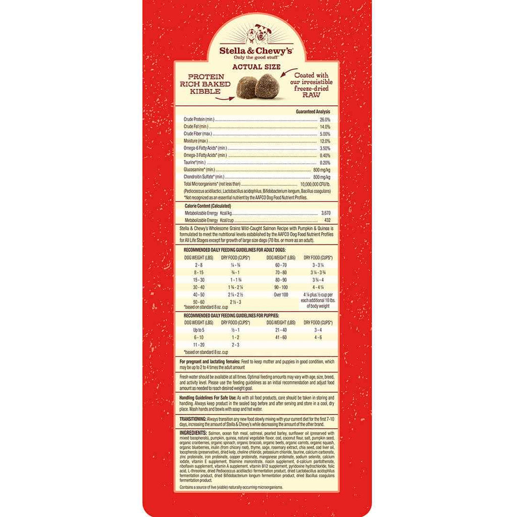Raw Coated Kibble with Wholesome Grains Dog E179