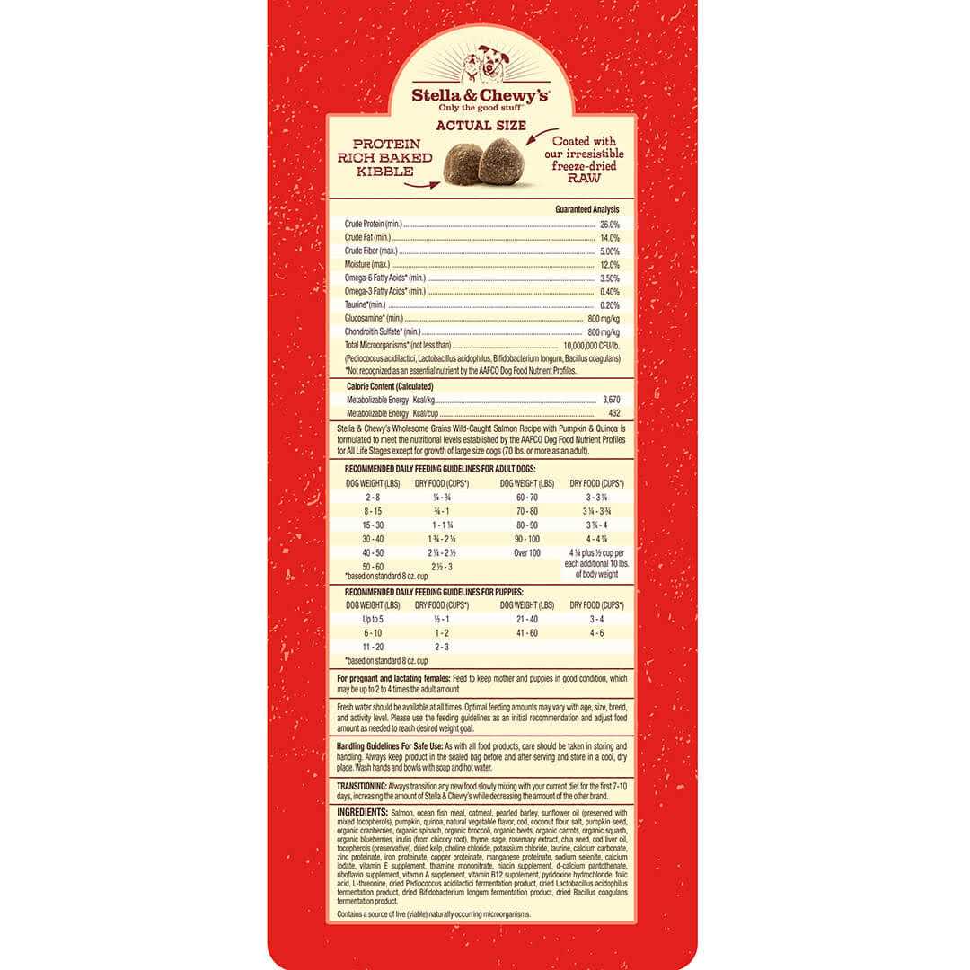 Raw Coated Kibble with Wholesome Grains Dog E179