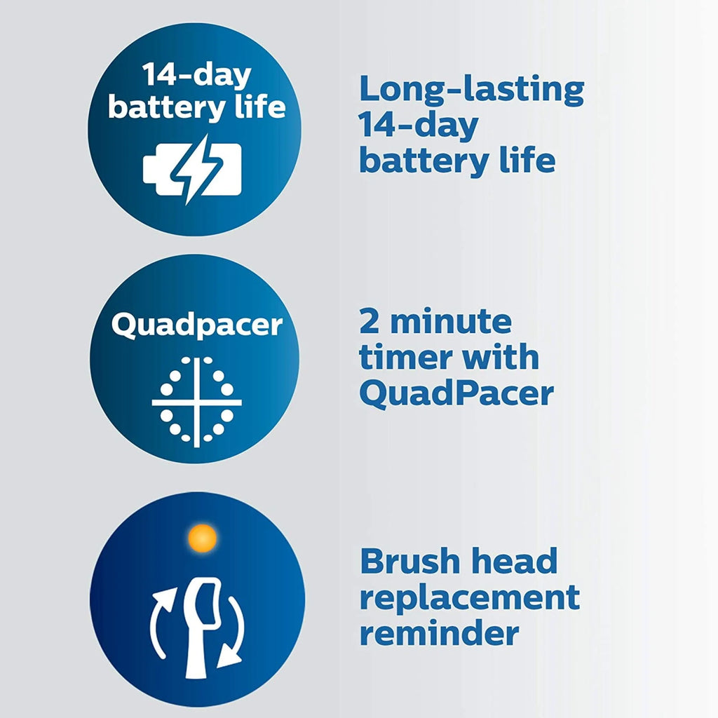 Rechargeable Electric Toothbrush D58173