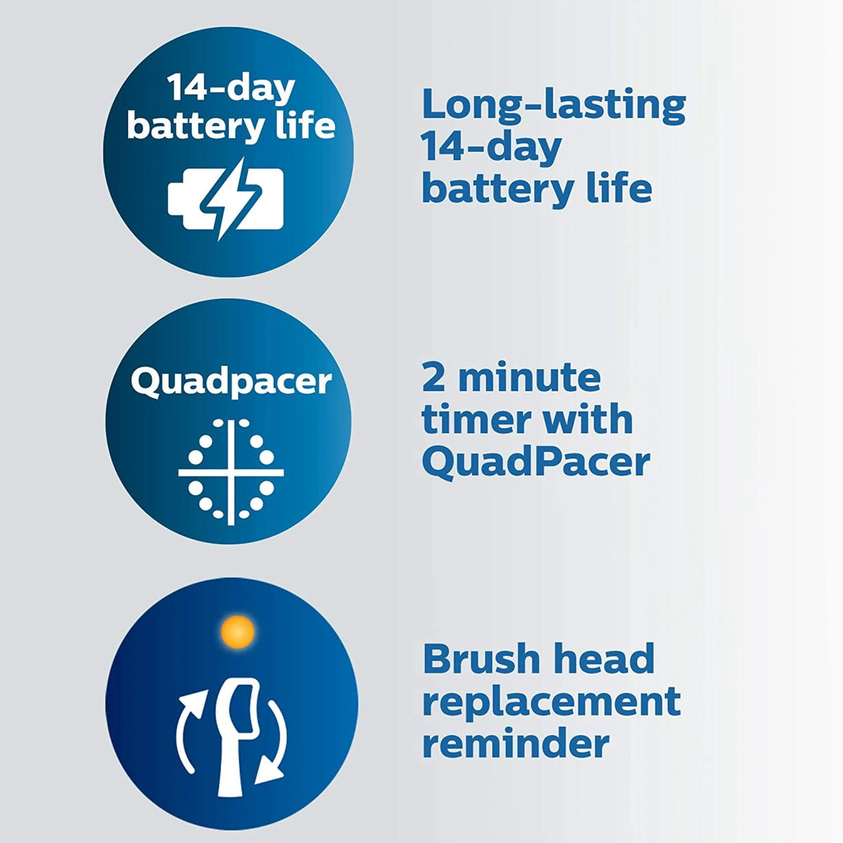 Rechargeable Electric Toothbrush D58173