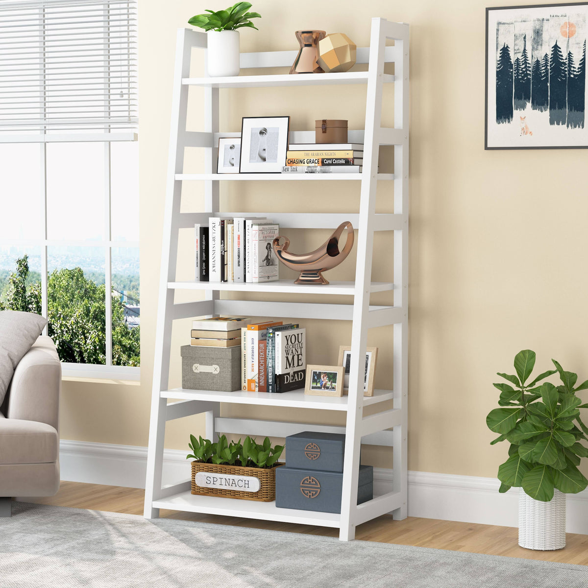 5-Tier Modern Bookshelf Q336