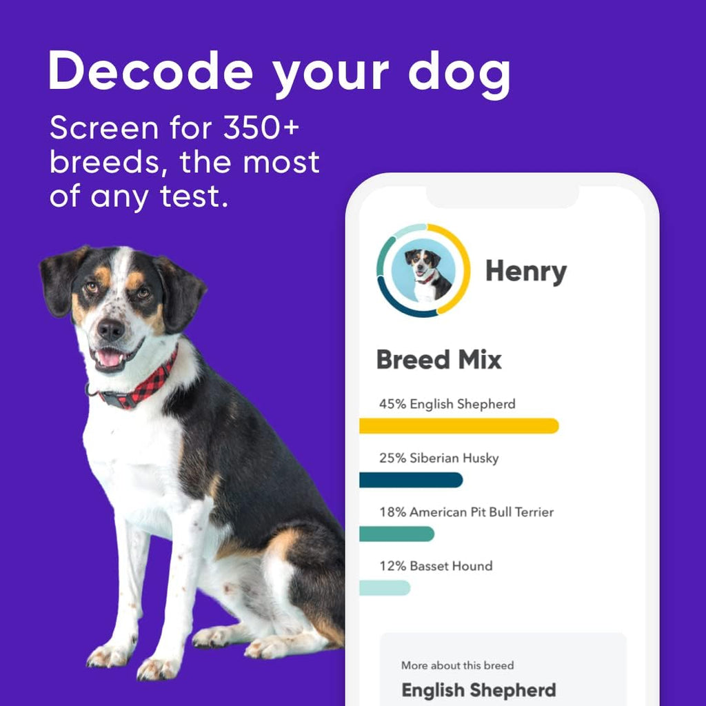 Dog DNA Test Breed Identification Kit G415534
