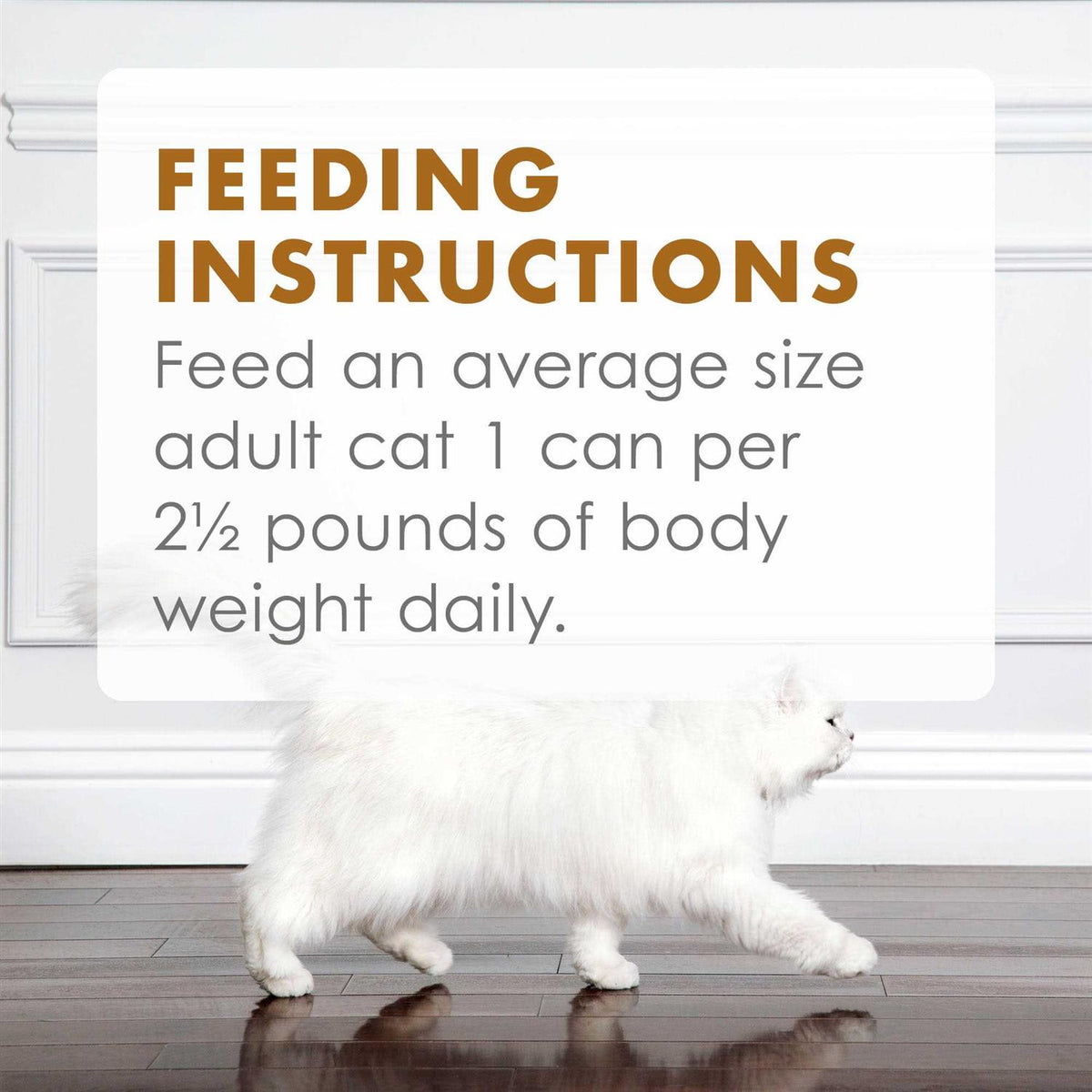 Chicken Feast in Gravy Cat Food Can S235008