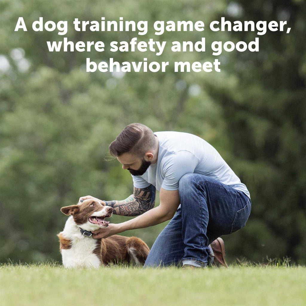 Dog Remote Trainer K21172