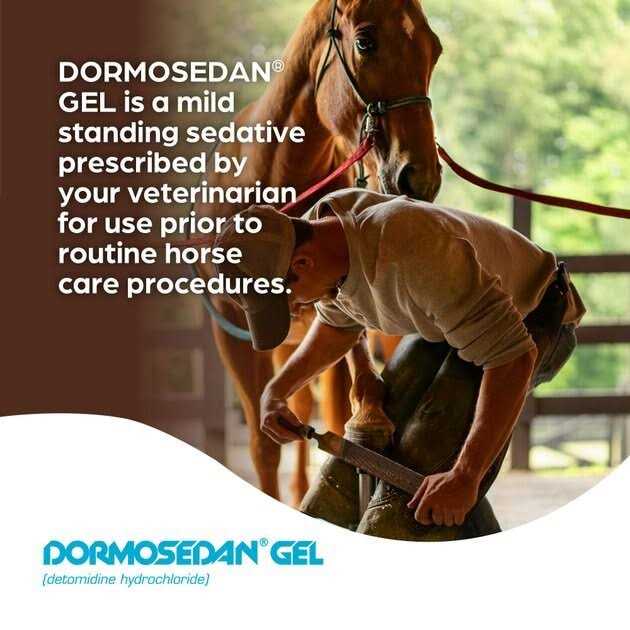 Horse Gel B42728