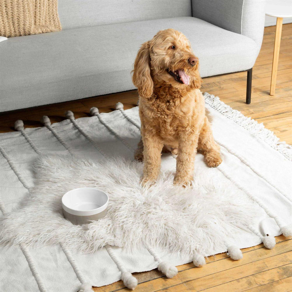 Ceramic Dog Bowl K399