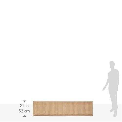 Folding Dog Ramp W100