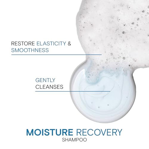 Moisturizing Shampoo & Conditioner with Jojoba Oil & Shea Butter X638503