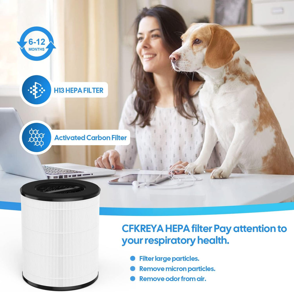 MERV 17 HEPA Replacement Filter H258