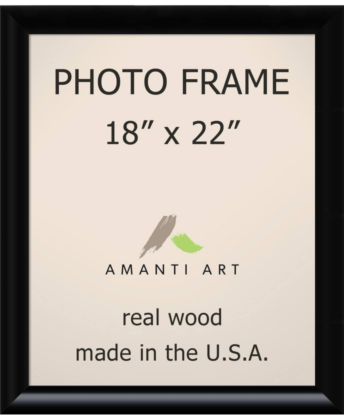 Black 18" x 22" Picture Frame O22951