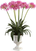 African Lily with Urn C578