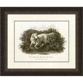 Framed Fine Art Print with Glass G7614