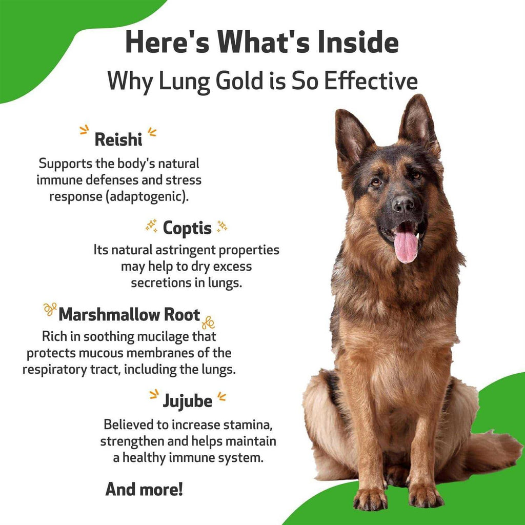 Lung Gold for Dogs R26741