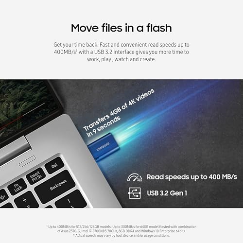 Type-C USB Flash Drive 256GB Blue S268