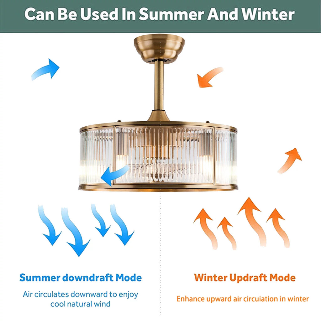 18inch Caged Ceiling Fan Light with Remote Control V512639