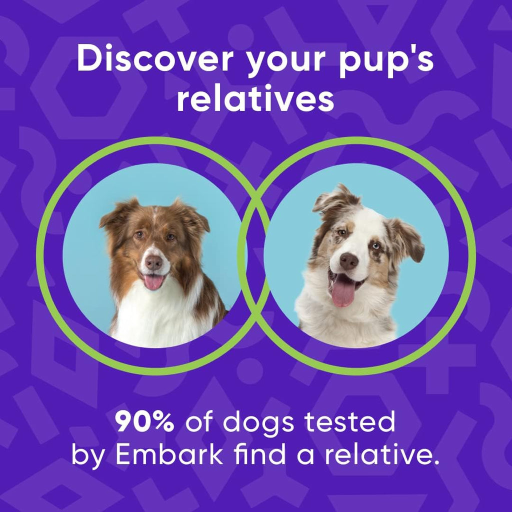 Dog DNA Test Breed Identification Kit G415534