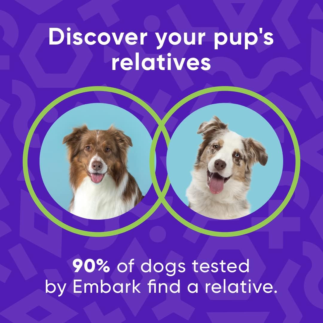 Dog DNA Test Breed Identification Kit G415534