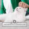 Chicken Feast in Gravy Cat Food Can S235008