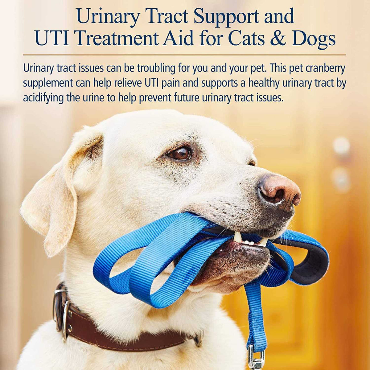 Cranberry for Pets P29923