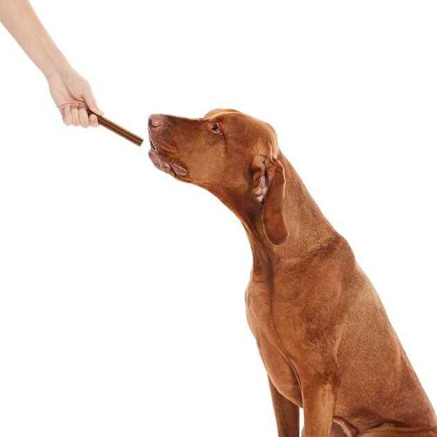 All-Natural Dental Chew Sticks X35799