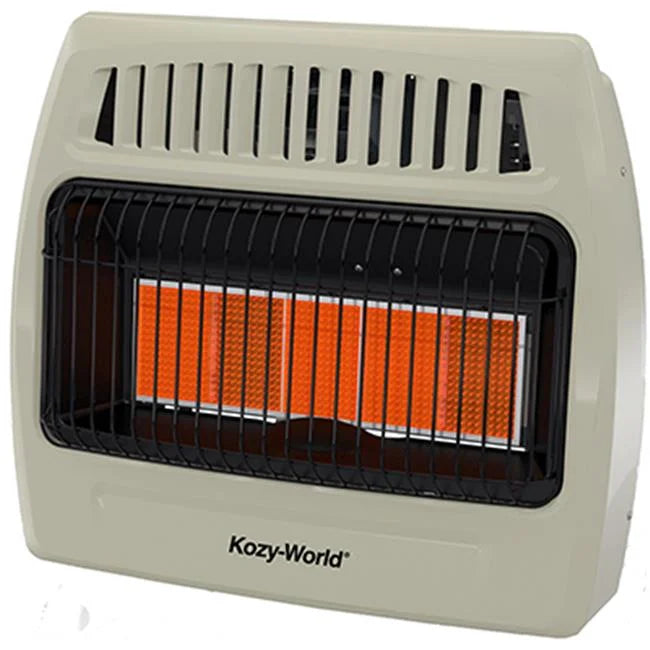 30,000 BTU Infrared Liquid Propane Gas Wall Heater I2957