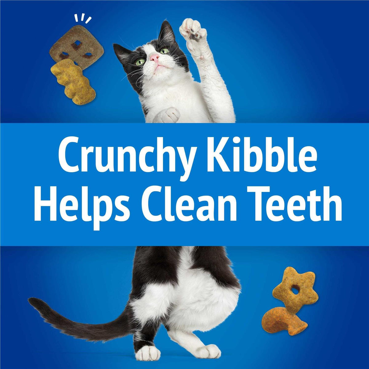 Cat Treats Party Mix Crunch B433