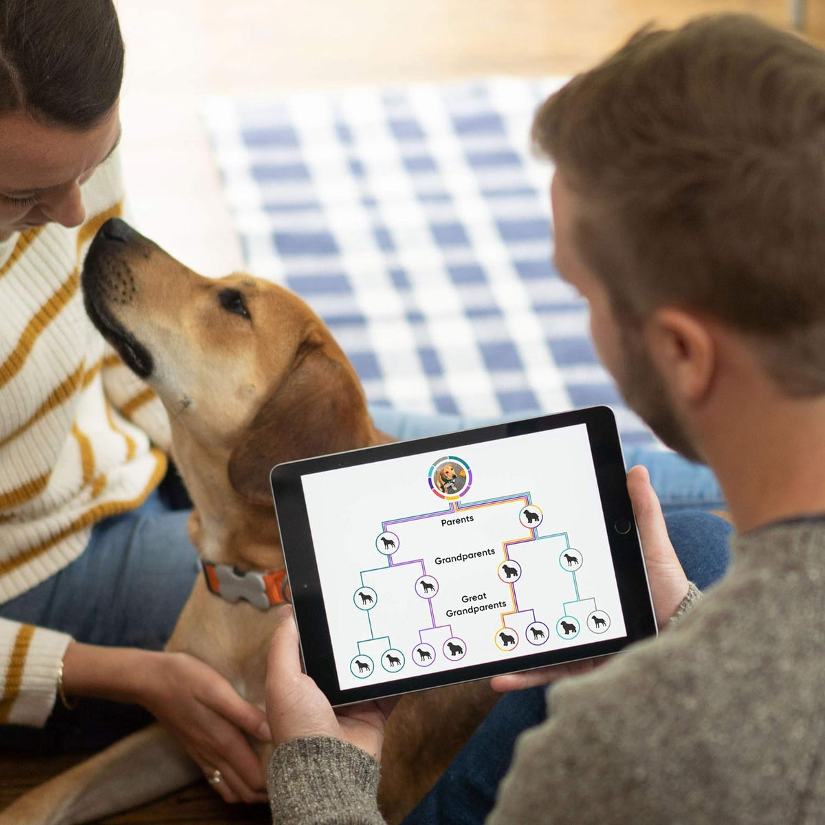 Dog DNA Test Breed Identification Kit G415534
