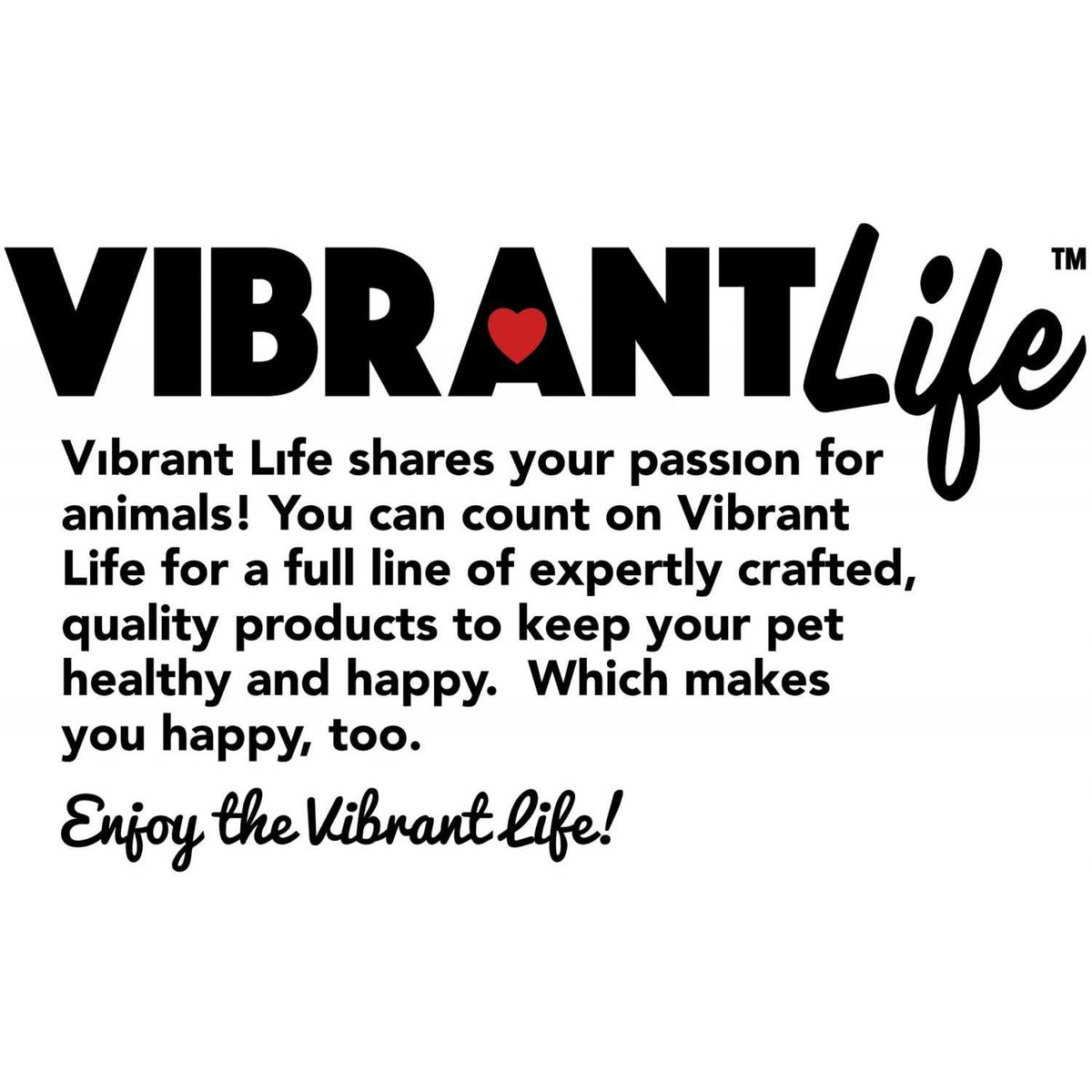 Slicker Brush for Cats Y363