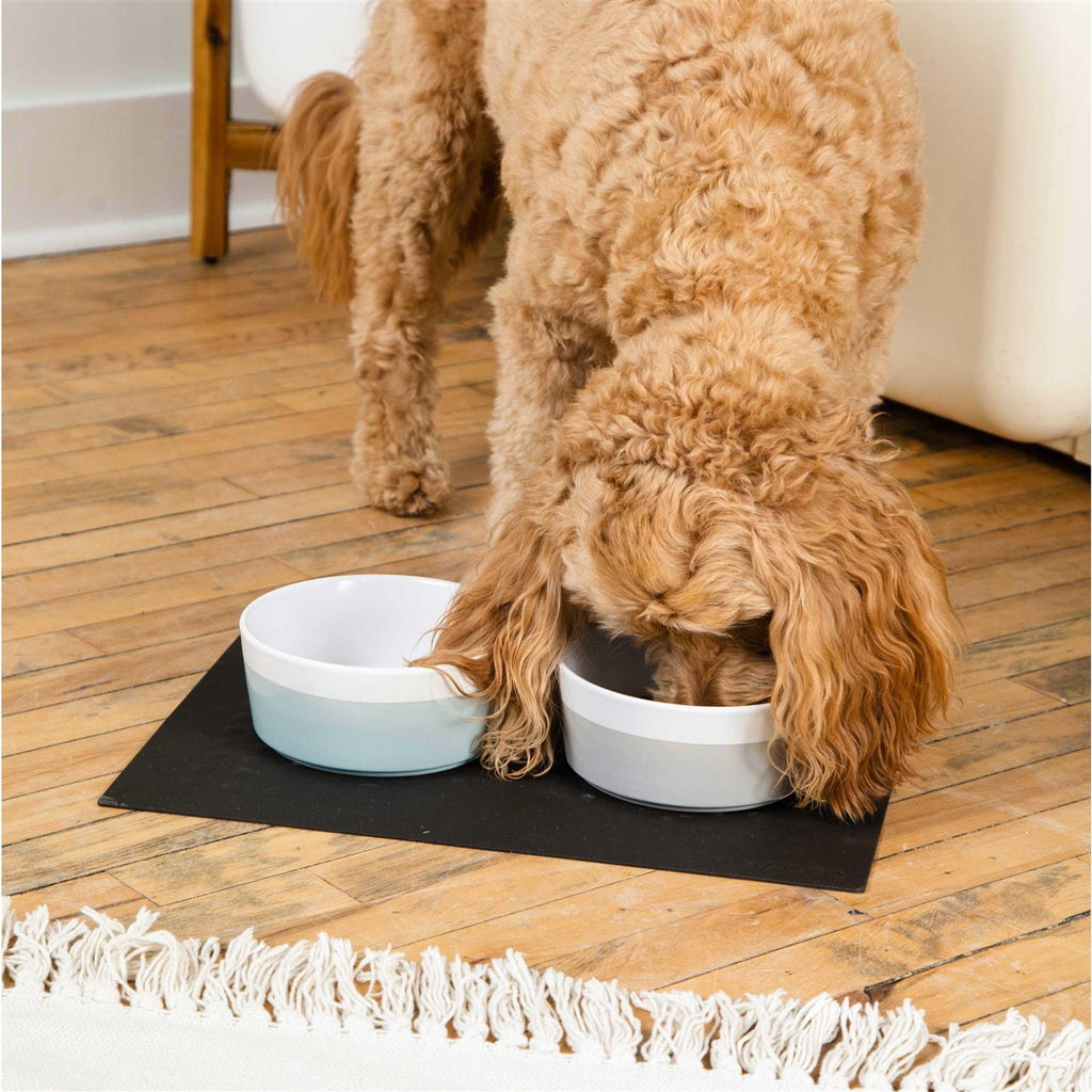 Ceramic Dog Bowl K399