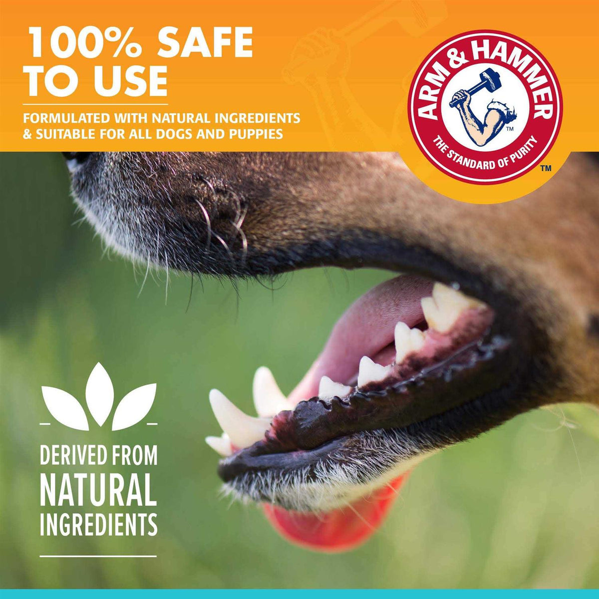Fresh Breath Dental Spray for Dogs P974