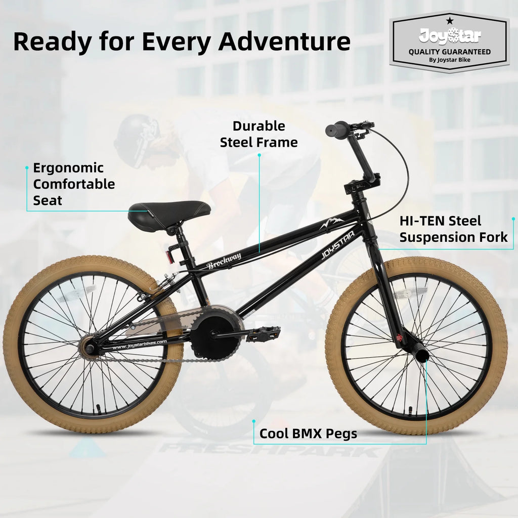 Kids BMX Bikes 20 B763