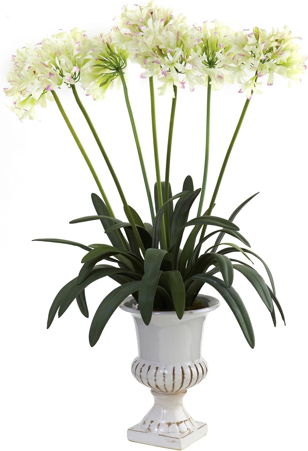 African Lily with Urn C578