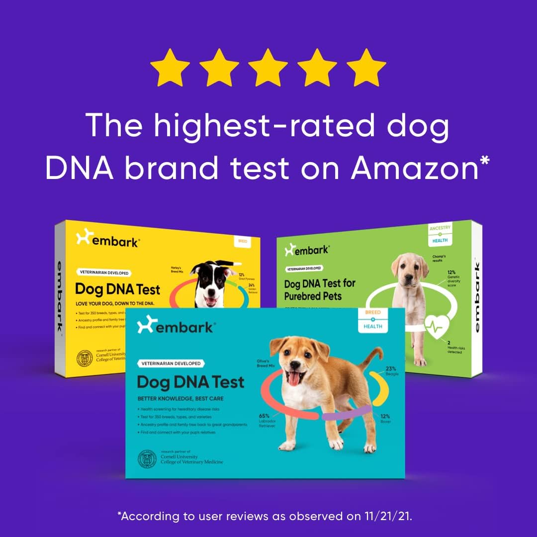 Dog DNA Test Breed Identification Kit G415534