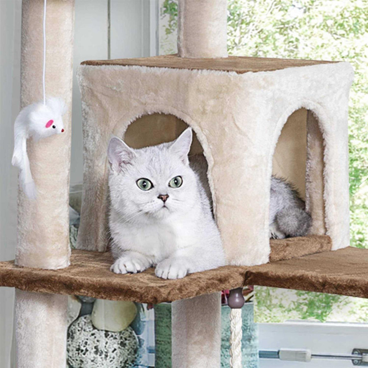 Kitten Cat Tree Condo with Scratching Board L2302