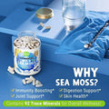 Organic Sea Moss Capsules 120ct H709752