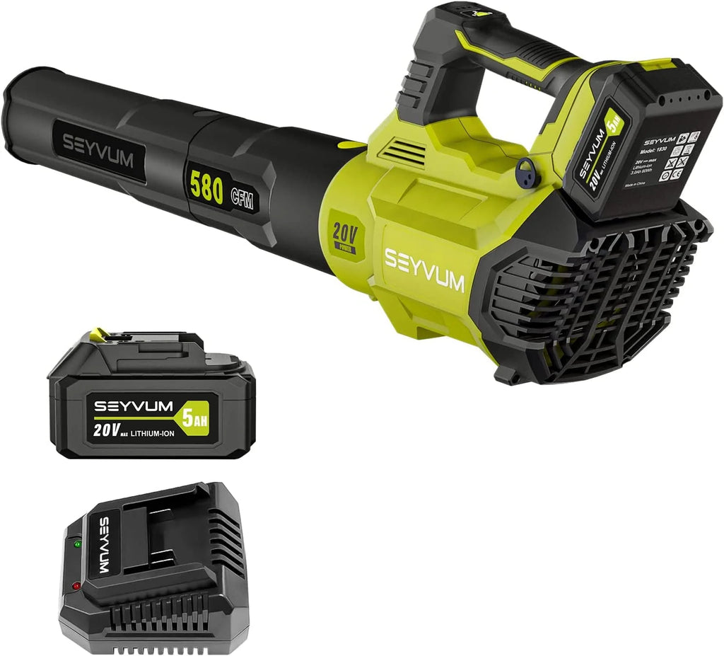 Cordless Leaf Blower 600CFM 165MPH with 2.5Ah Battery T80010