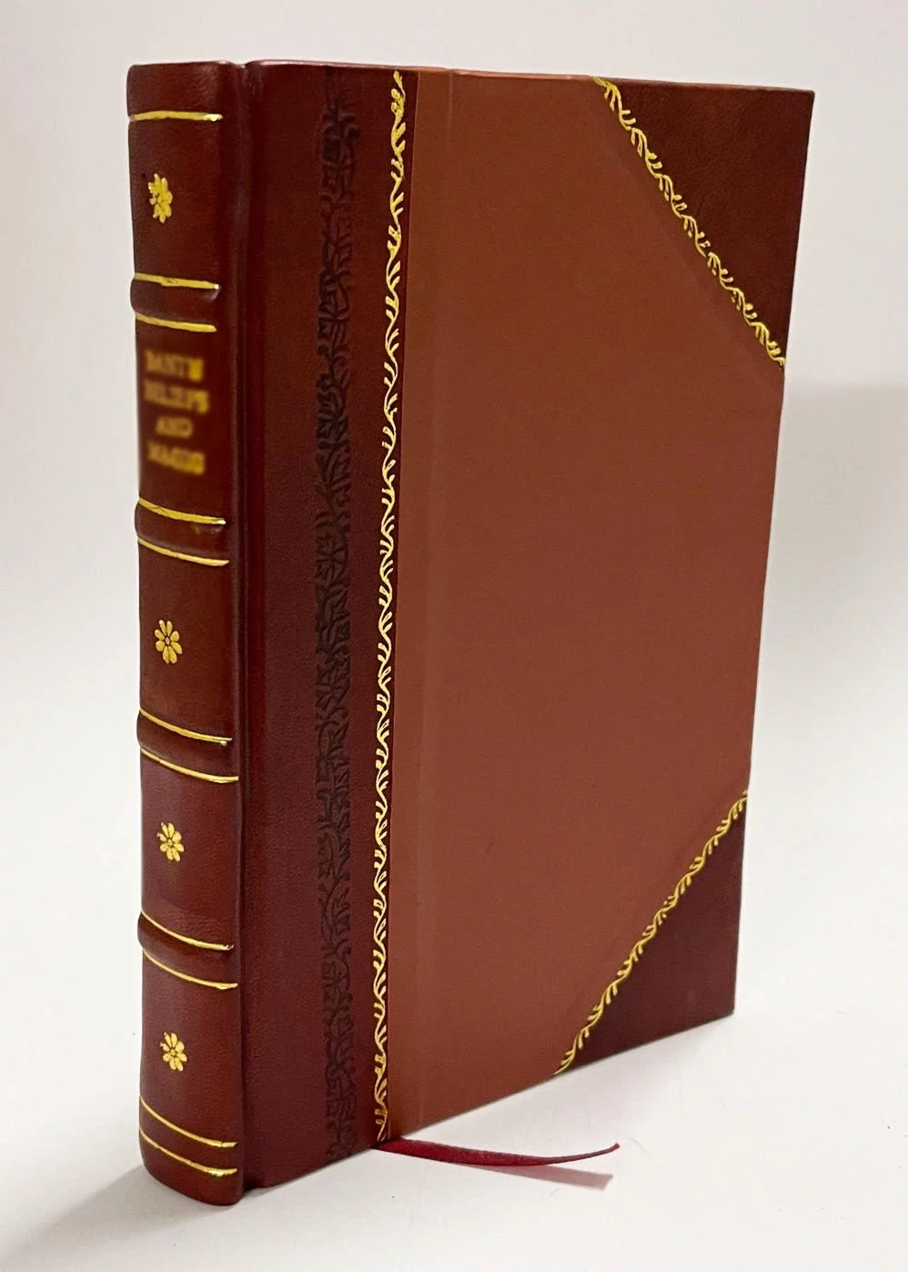 Les Beaux Messieurs De Bois-Dore Volume 1 Leather Bound R85160