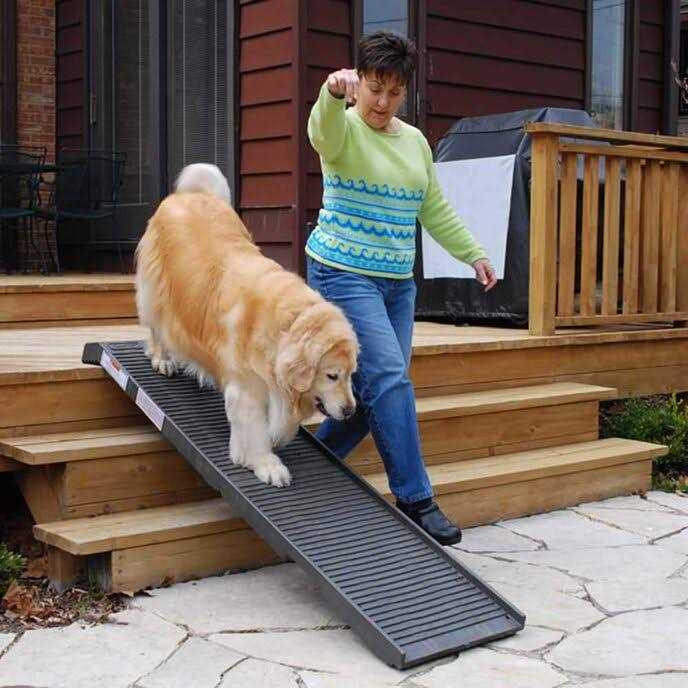 Folding Dog Ramp W100