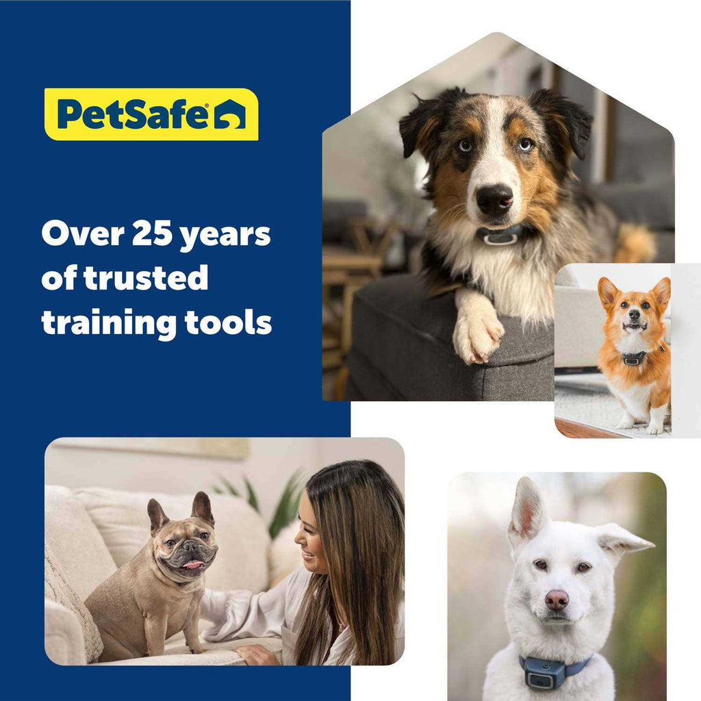 Dog Remote Trainer K21172