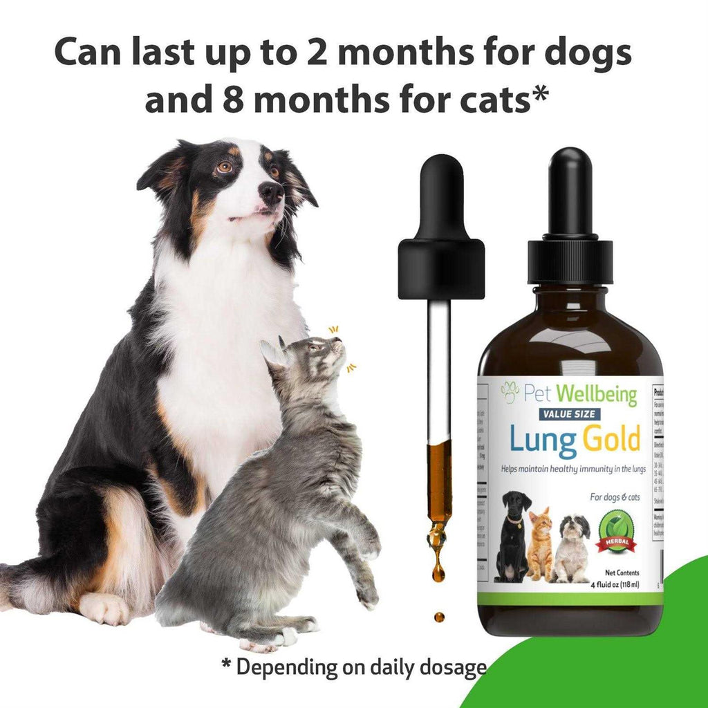 Lung Gold for Dogs R26741