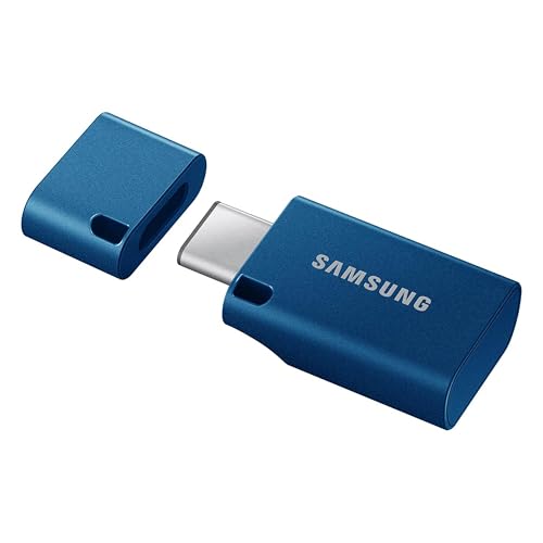 Type-C USB Flash Drive 256GB Blue S268