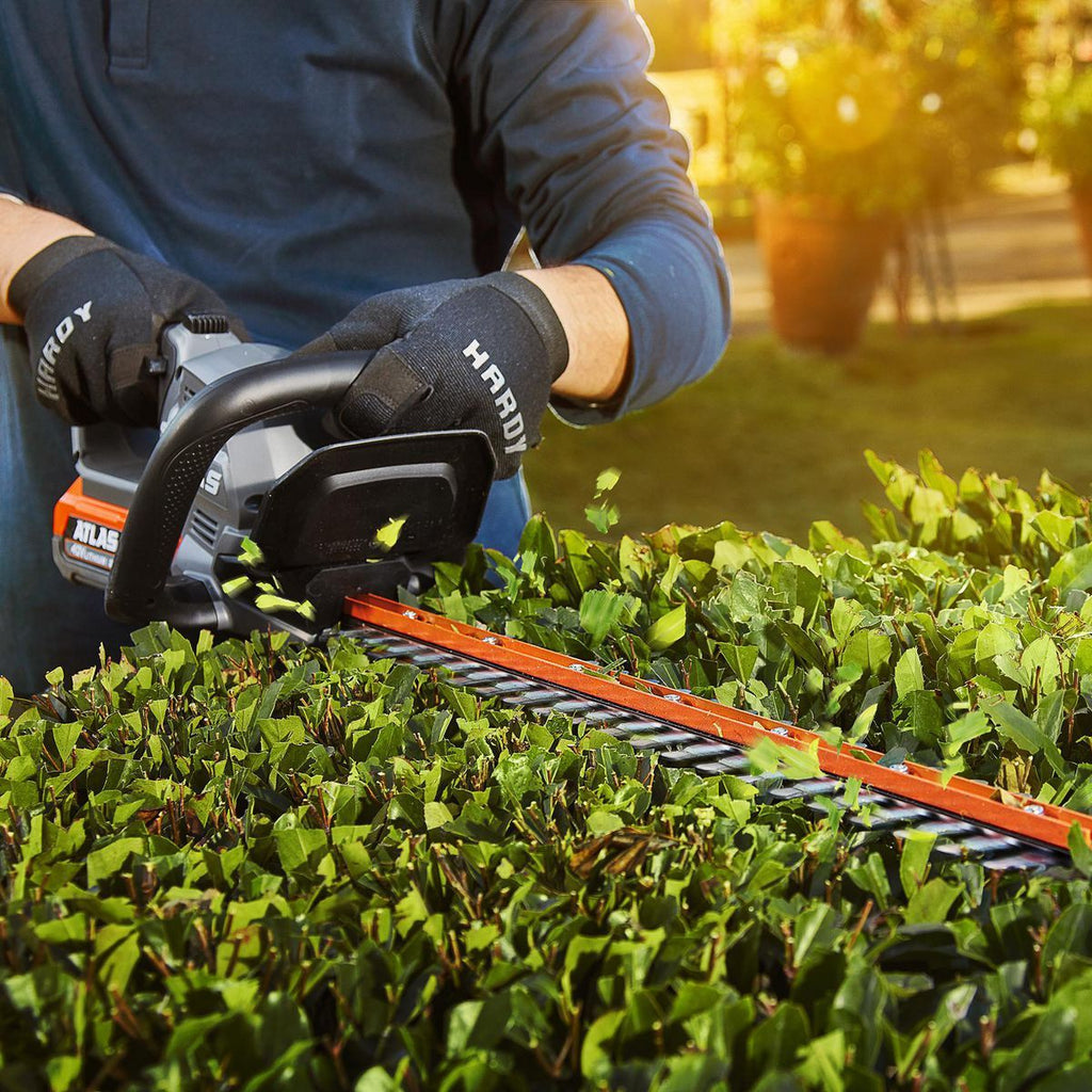 Cordless 24 in. Hedge Trimmer F31262