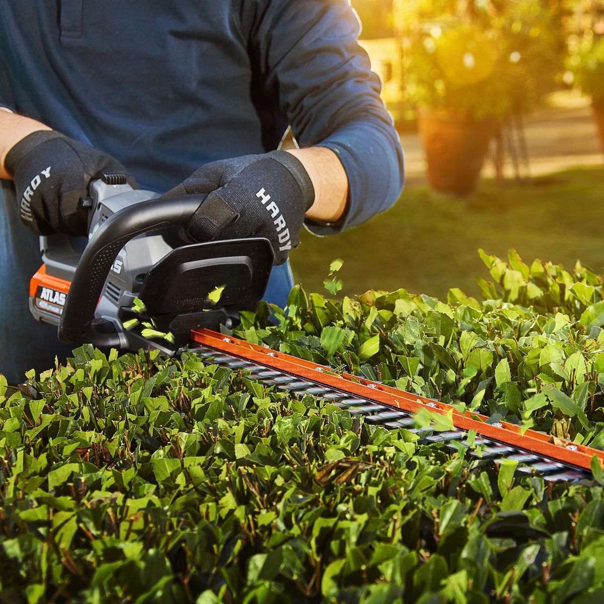 Cordless 24 in. Hedge Trimmer F31262
