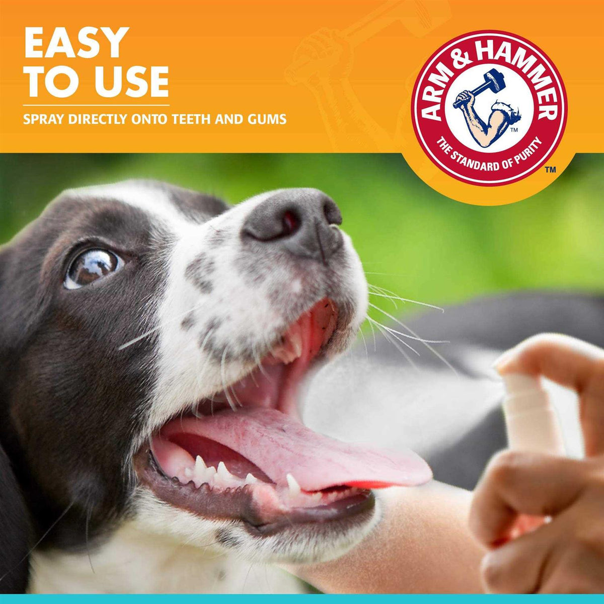 Fresh Breath Dental Spray for Dogs P974